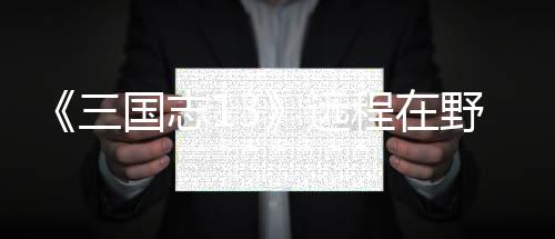 远野武用攻略国志程在将录三