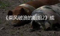 《乘风破浪的姐姐2》成团名单分别都有谁 《浪姐2》成团人员排名