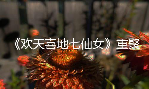 仙女地七对王牌爷青天喜重直呼王牌网友欢回聚