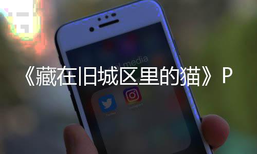 里的流下在旧载 m正载版下版分猫藏城区