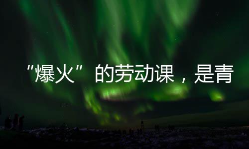 的劳动课对话青年与社爆火会的热烈，是