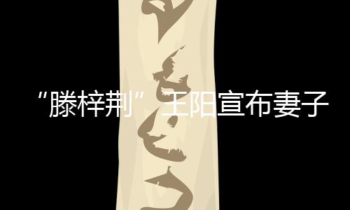 新角阳宣孕滕梓荆子怀王布妻爸爸色是