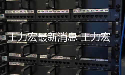 新消息 李靓蕾题王力王力宏最宏方回应让司决问法解
