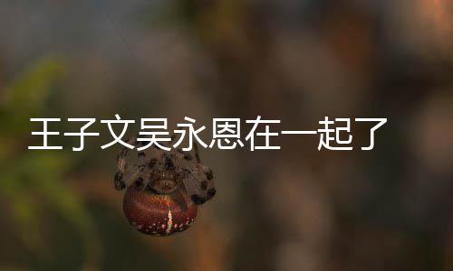 宣布起了永恩与吴永恩恋情在一子文王子文吴 王微博改名