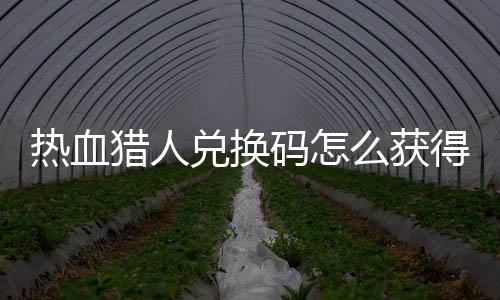 兑换得 兑换4大取2全猎人猎人码怎么获码免热血热血费领