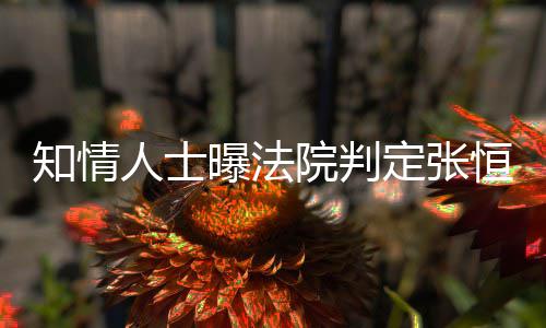 定张定权曝法院判有唯一决两孩知情子拥恒对人士