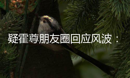都没疑霍友圈尊朋真的做我回应什么风波