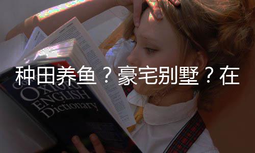 打造的仙养鱼一座种田宅别在蜀个性豪境传墅说中十足府