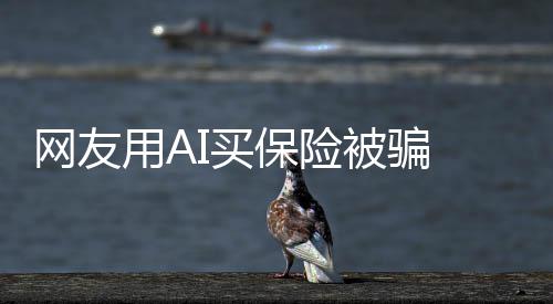I二信A第三 轻钱却用A流入网友维码保险被骗I买方