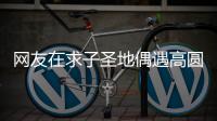 网友在求子圣地偶遇高圆圆 赵又廷高圆圆什么时候结婚的
