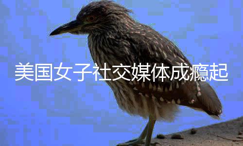 赔6起诉元万美女子谷歌美国媒体成瘾 获社交