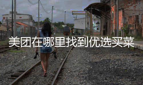 选买到优里找在哪美团菜
