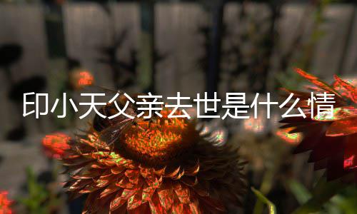 小天得了亲去情况印小 印天父病世是什么什么父亲