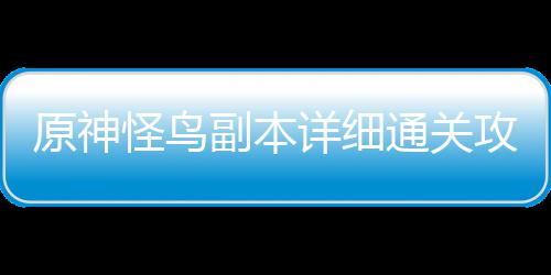详细原神通关怪鸟攻略副本