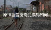 原神循音觅奇兑换码如何获取 循音觅奇兑换码获得攻略