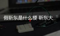 假靳东是什么梗 靳东大妈粉丝被骗事件始末最新消息进展