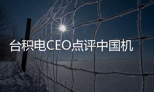 电C点评已台积跳来跳去中国没用 好人看而机器