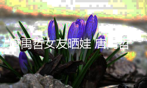 友晒唐禹唐禹胎了哲女哲二娃 吗