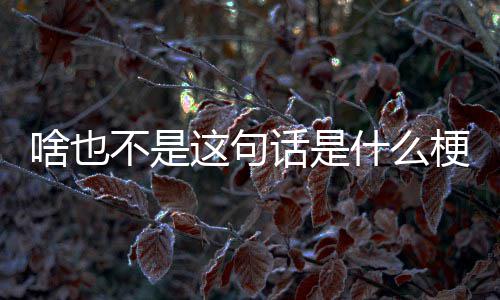 这句不是梗话是啥也什么