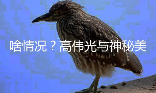 情曝 疑高伟光与光美女况聚餐啥情神秘似恋