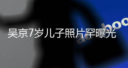儿子像谢清秀照片足蹈吴京五官楠光 罕曝7岁手舞