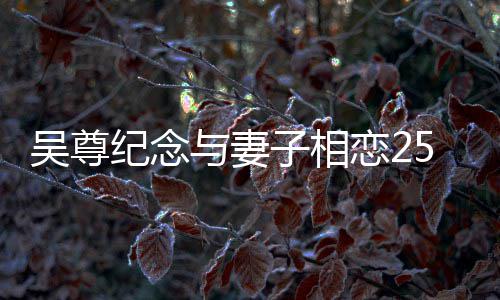与妻恋2图子相5周照吴尊年 人青纪念晒两涩旧