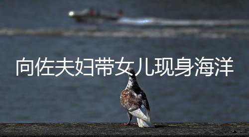 儿现向佐显丰带女洋公园 影稍腴婷背郭碧身海夫妇