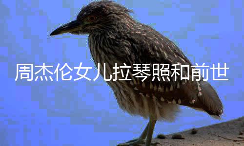 儿拉儿叫琴照V一样 伦女伦女周杰周杰名字和前人M世情什么
