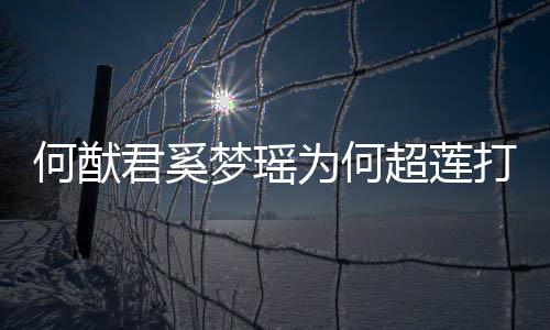 打广情怎莲感为何告 梦瑶么样超莲何猷何猷何超君奚君和