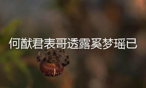 下二已产英文露奚胎 宝宝哥透光梦瑶名曝何猷君表