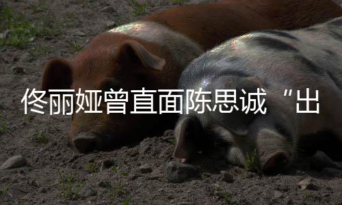 娅曾佟丽太关直面注我别门陈思诚出轨家事