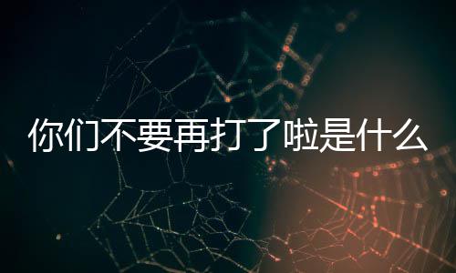 了啦再打不要你们么梗是什