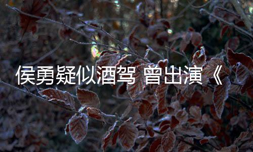 德汉疑似 曾赵民的名义出演侯勇人酒驾角色