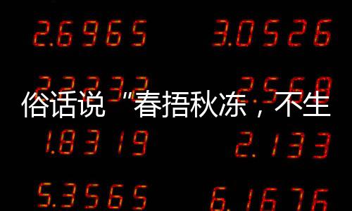 下哪答案秋冻秋季，以养生蚁庄园9种做，不病蚂春捂1日俗话说生杂适合法更