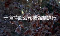 于谦持股公司被强制执行 《老师·好》收益惹纠纷