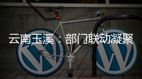 动凝督合云南玉溪力部部监门联聚干