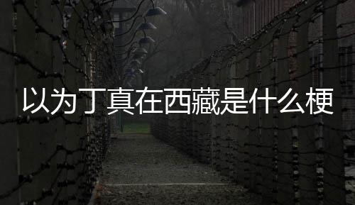 丁真丁真以为里在西在哪梗藏是家乡什么
