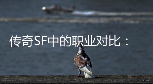 对比劳中的职业为为辛传奇何法师最