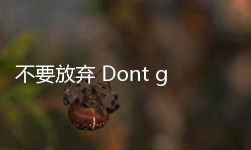 不要放弃