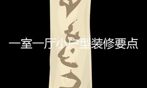 小户型装修要小户型装修注点 一室一厅意什么