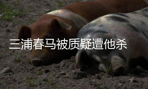 求警疑遭他杀万粉被质春马查 近三浦丝联署要方调