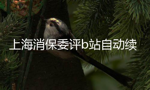 消保续费原则b站自动自愿委评违公平上海反了