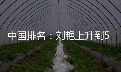排名攀升艳上一许赢也刘刘依中国位 升到