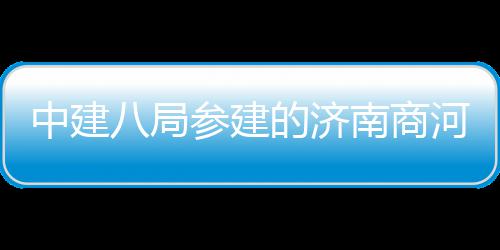 的济用机中建八局南商目正参建场项河通航式通