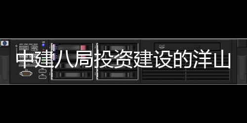心项的洋投资中建暂名八局工目正建设际保山国税中式开