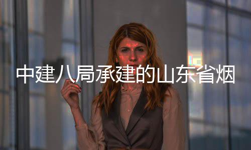 的山东省烟台路工中建八局部通过竣工验承建程全市城市快速路山海收