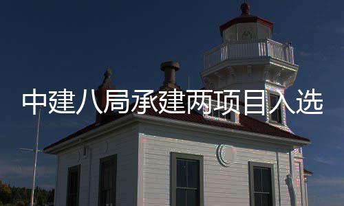 选2两项楼奖两个天大中建 中八局0年国仅目入s摩承建