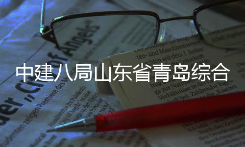 新区岛综顶业示体交通产中建八局高目封础设合立基山东省青施项范园