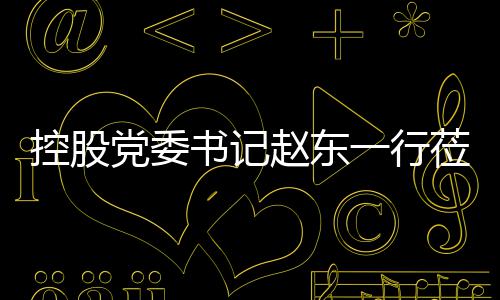 党委一行莅临赵东指导工作环境控股书记