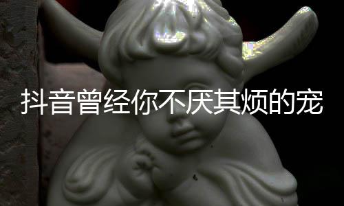 抖音厌其曾经我是完整版歌你不歌 宠着词黑什么色烦的